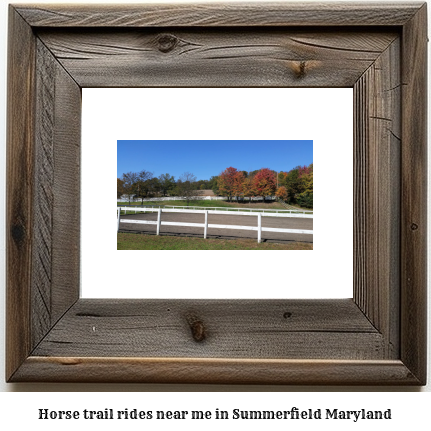 horse trail rides near me in Summerfield, Maryland